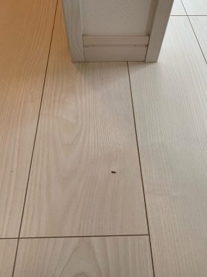 image0_7.jpeg