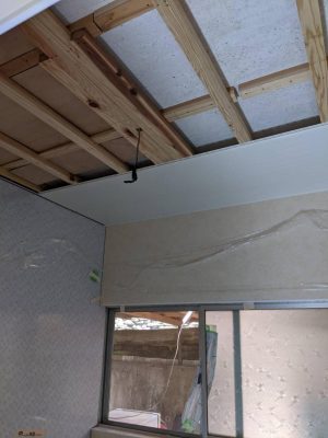 image1.jpeg