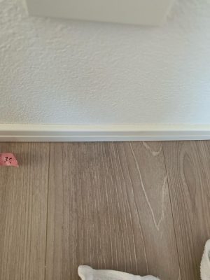 image1_6.jpeg
