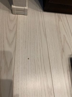 image0_2.jpeg