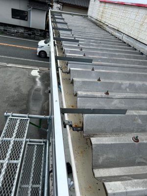 image2_2.jpeg